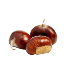 2020 new crop of chestnuts wholesale